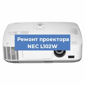 Замена поляризатора на проекторе NEC L102W в Ижевске